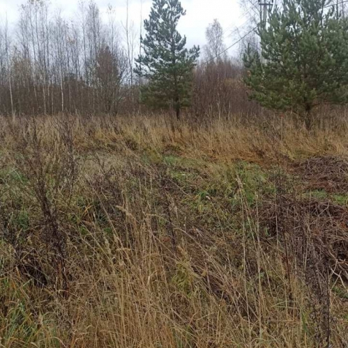 Земельный участок Старая Середка дер.