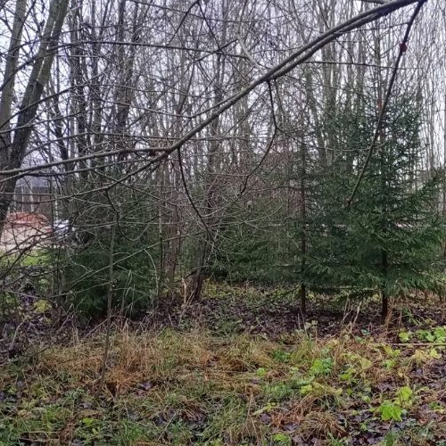 Земельный участок д. Калитино, улица Новодеревенская