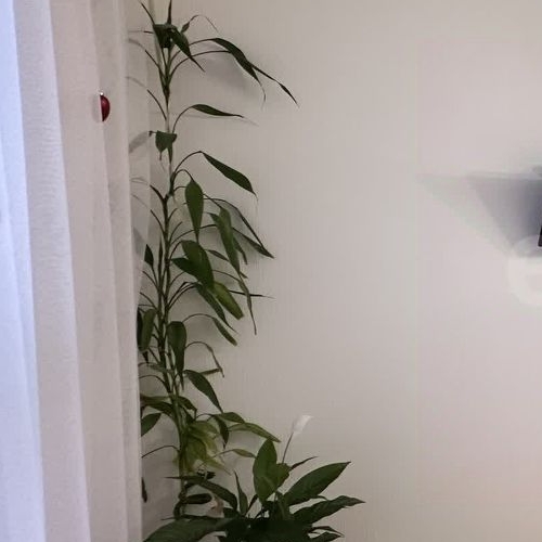 1-комн квартира Мурино, улица Шоссе в Лаврики, 59к2