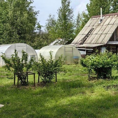 Коттедж/дом пос. Лейпясуо, Карелия СНТ, 3-я линия, 67