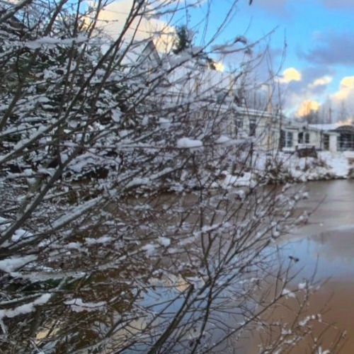 Земельный участок Молодежное кп, Сосновый Бор,  д. 105