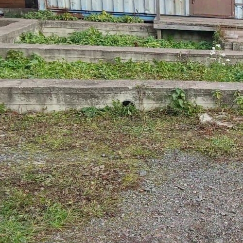 Земельный участок пос. Петро-Славянка, Красноармейское СНТ, 50