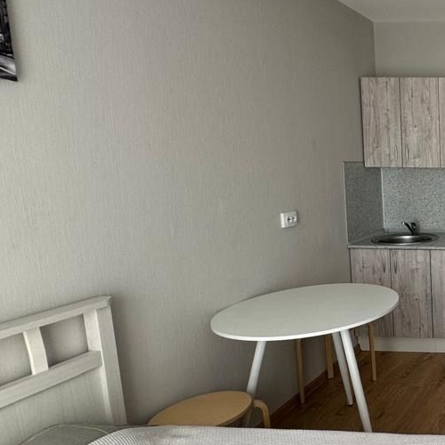 Студия пос. Парголово, проезд Толубеевский, 8к2