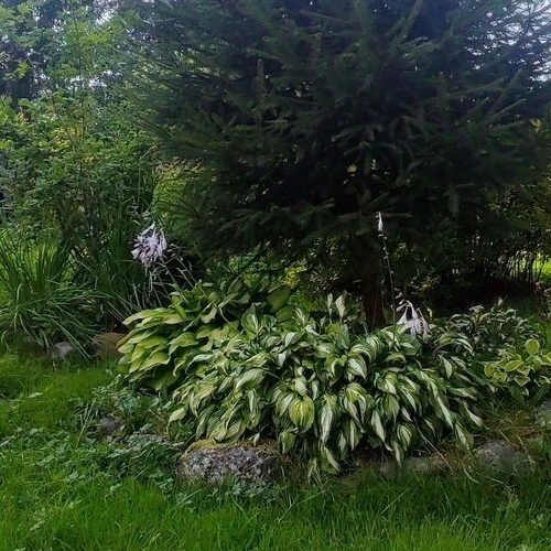 Коттедж/дом Симагино СНТ, улица Березовая