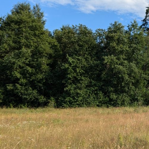 Земельный участок Нурми Хиллс клп, д. Борисово, улица Бирюзовая,  д. 15