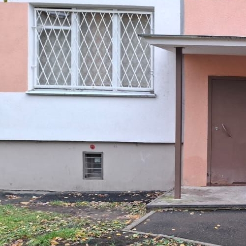 3-комн квартира Бухарестская улица, 39К1