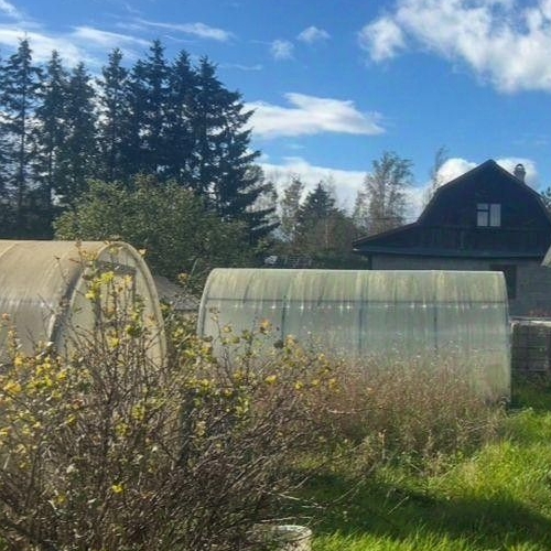 Коттедж/дом Чаща садоводческий массив, Оредежское СНТ,  д. 482