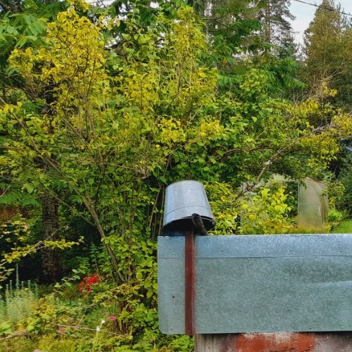 Коттедж/дом Дивенская садоводческий массив, Невское СТ, 17-я линия