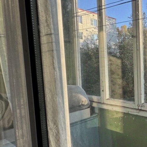 1-комн квартира д. Заклинье, улица Новая, 24