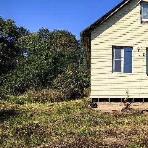 Коттедж/дом д. Коскеницы, 37