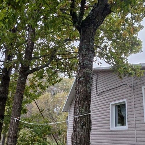 Коттедж/дом д. Венекюля, улица Луговая, 2