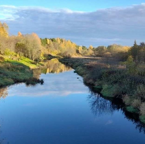 Коттедж/дом Осьмино пос.,  д. 1