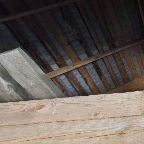 Коттедж/дом д. Посадница, 21