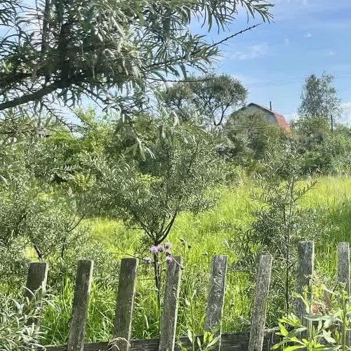 Коттедж/дом Рассвет СНТ, улица 16-я