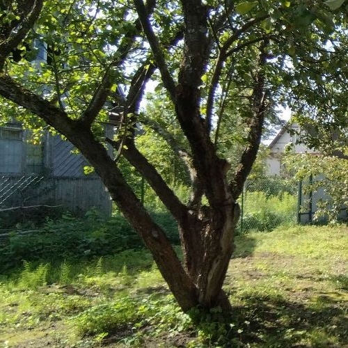 Коттедж/дом Михайловский садоводческий массив, Фотон ПО Завода Вибратор СНТ, улица Дружбы