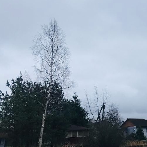 Земельный участок Мишкино-Поркузи садоводческий массив, Поркузи СНТ,  д. 37А