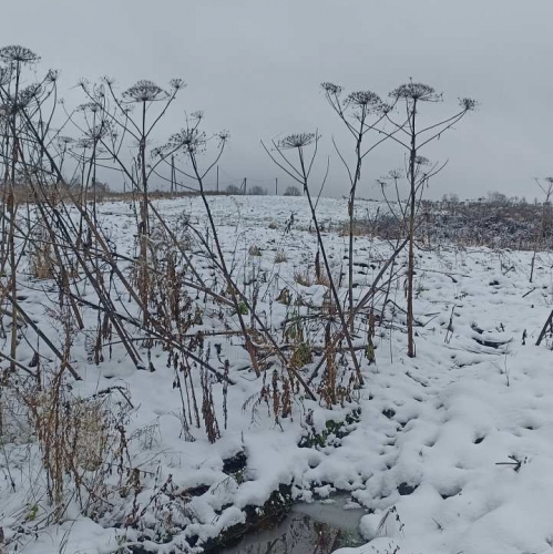 Земельный участок Старая Середка дер.
