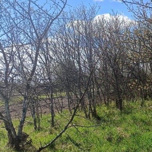 Коттедж/дом Р-23, 165-й км