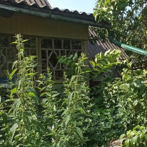 Коттедж/дом д. Милодеж, улица Центральная, 47