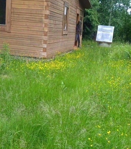 Коттедж/дом пос. Лейпясуо, Булат СНТ, улица Булатная,  д. 32