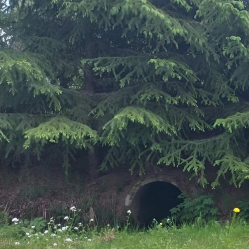 Коттедж/дом Васкелово садоводческий массив, ЦНИИ Электроприбор СНТ, проезд 2-й