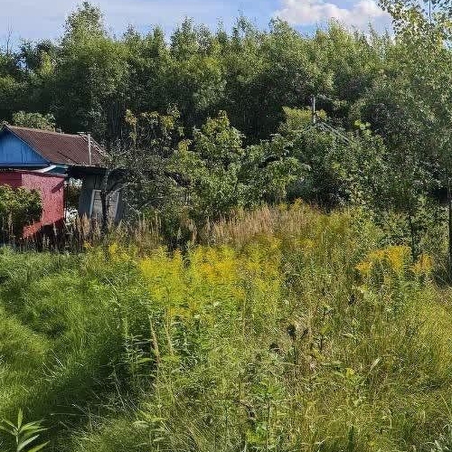 Земельный участок Механизатор СНТ, улица 1-я