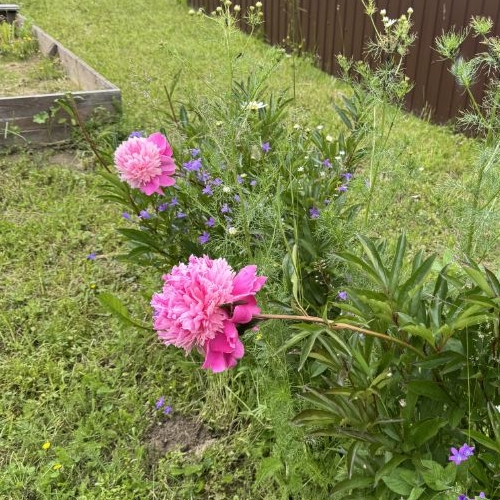 Коттедж/дом Гаричи ДНП,  д. 4