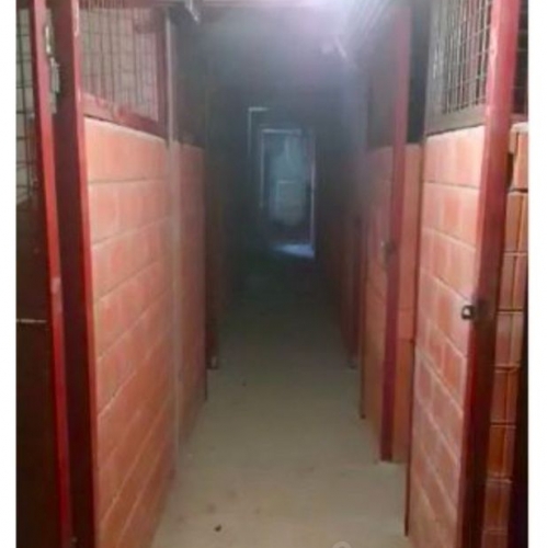 Гараж/парковка Янино-1, ул Ясная,  д. 16,  к. 3