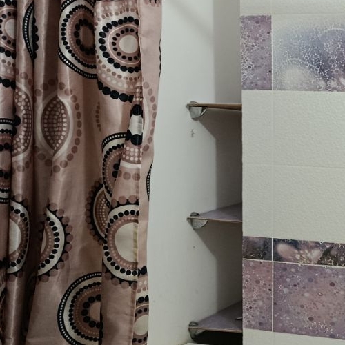 Студия пос. Парголово, проезд Толубеевский, 24