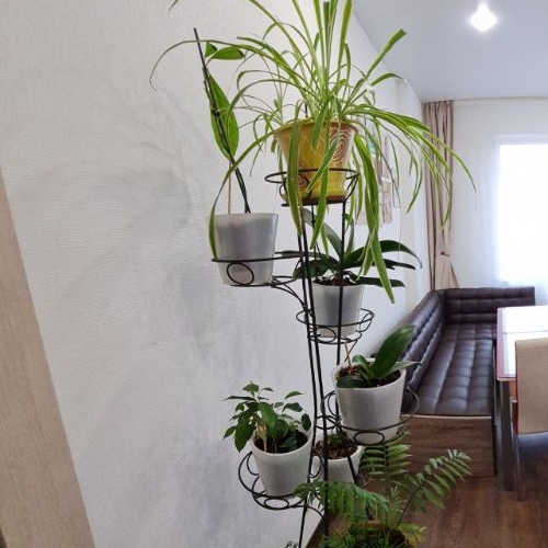 3-комн квартира Петергоф, улица Парковая, 14к4