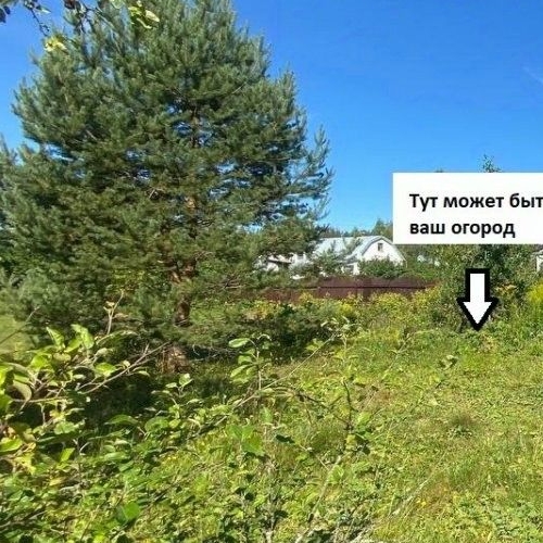 Коттедж/дом д. Большие Крупели, улица Центральная