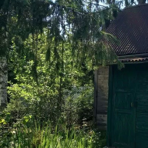 Коттедж/дом Посадников остров садоводческий массив, Меридиан СНТ, 6-я линия