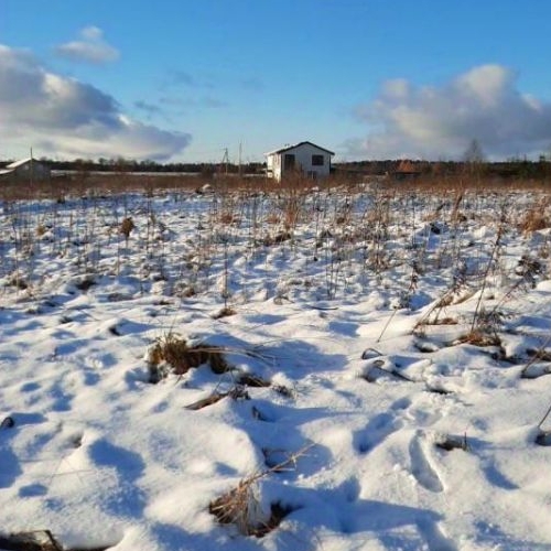 Земельный участок д. Старые Низковицы, 35