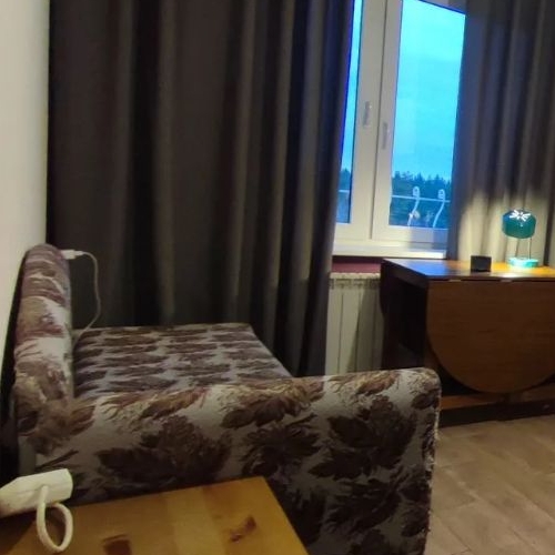 1-комн квартира д. Новое Девяткино, улица Энергетиков, 8