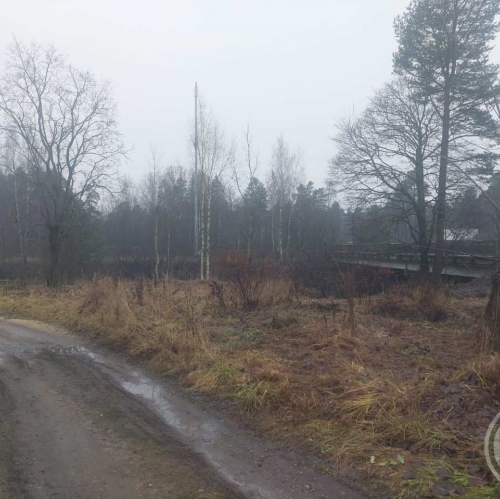 Земельный участок Вырица пос., Румянцева ул.