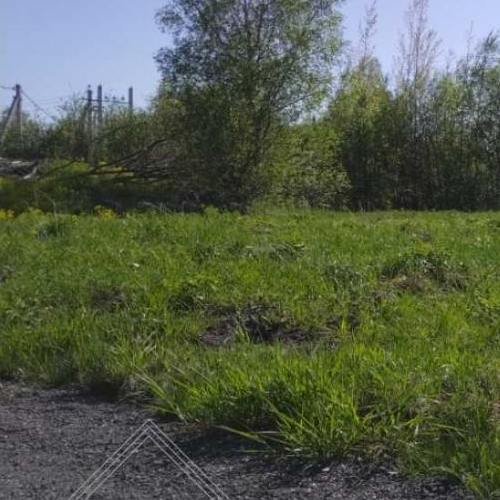 Земельный участок Ойнелово массив, улица Лесная