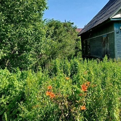 Коттедж/дом пос. Большие Лучки, Сланцы, улица Сосновая, 13