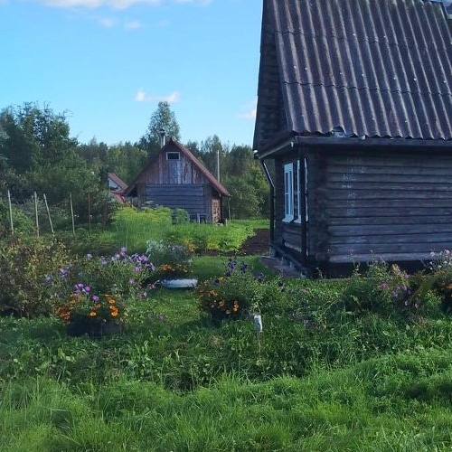 Коттедж/дом Мелиоратор СНТ,  д. 47