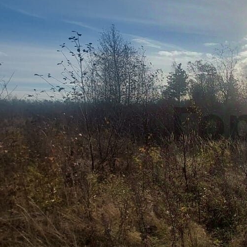 Земельный участок Кискелово массив, 1