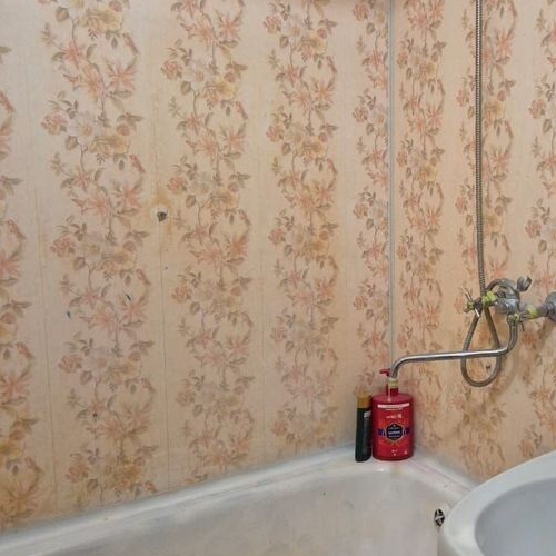 1-комн квартира д. Ретюнь, улица Центральная, 10