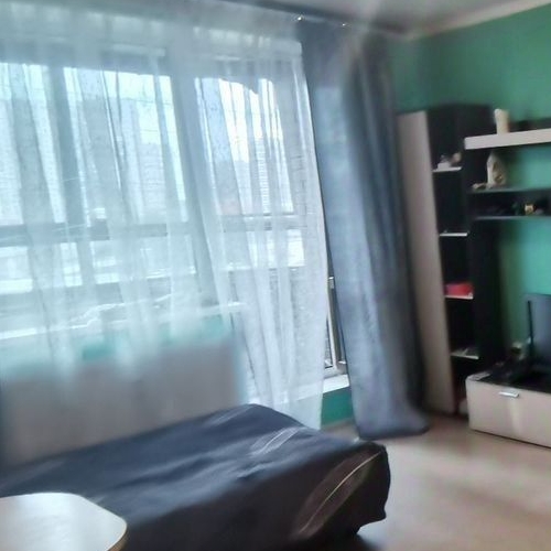 Студия пос. Парголово, улица Михаила Дудина, 10