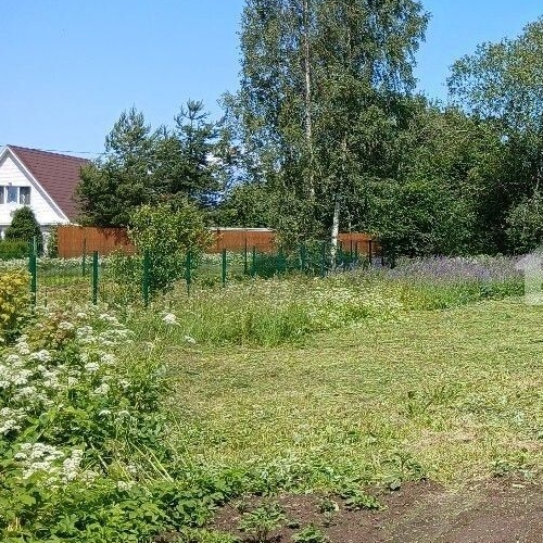 Земельный участок пос. Горьковское, улица Совхозная