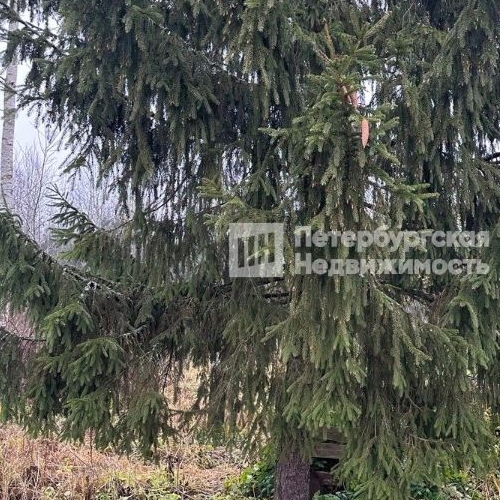 Коттедж/дом д. Низовская, улица Володарского, 75