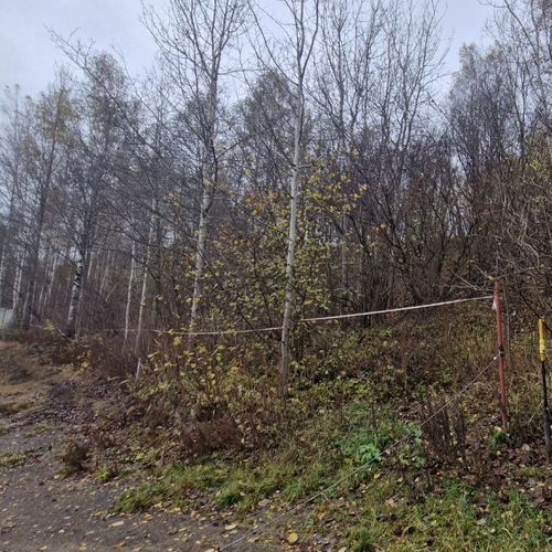 Земельный участок д. Порошкино, улица Лебяжья