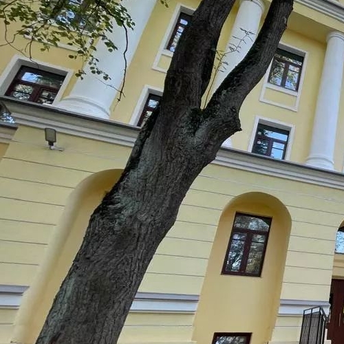 3-комн квартира Пушкин, Захаржевская улица, 14