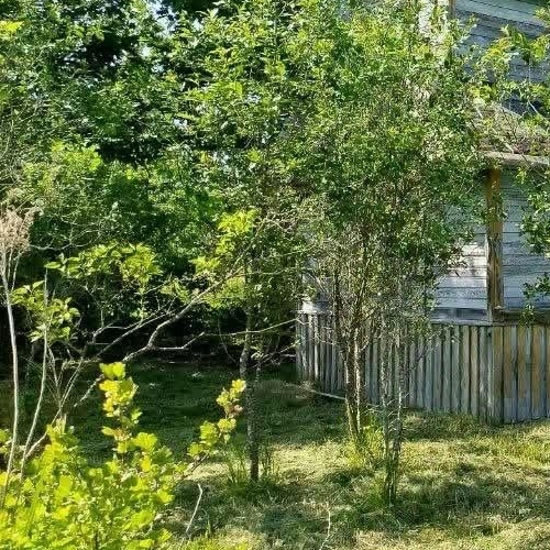 Коттедж/дом Молодежный СНТ, улица 9-я, 140