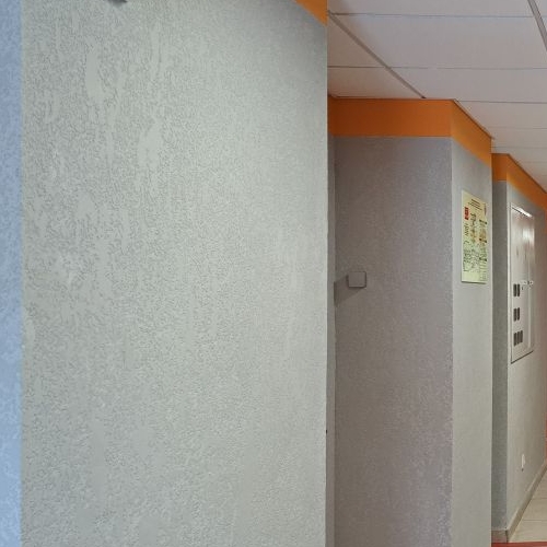 Студия пос. Парголово, проезд Толубеевский, 8к2