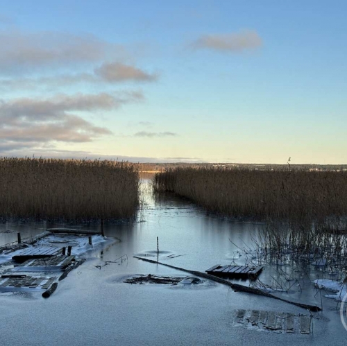 Земельный участок Прибылово пос., Луговая ул. ,  д. 34