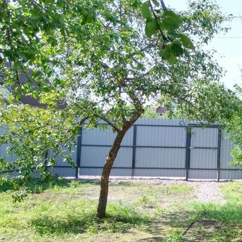 Коттедж/дом Михайловский садоводческий массив, Фотон ПО Завода Вибратор СНТ, улица Дружбы