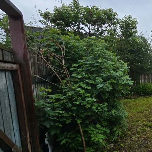 Коттедж/дом д. Посадница, 10